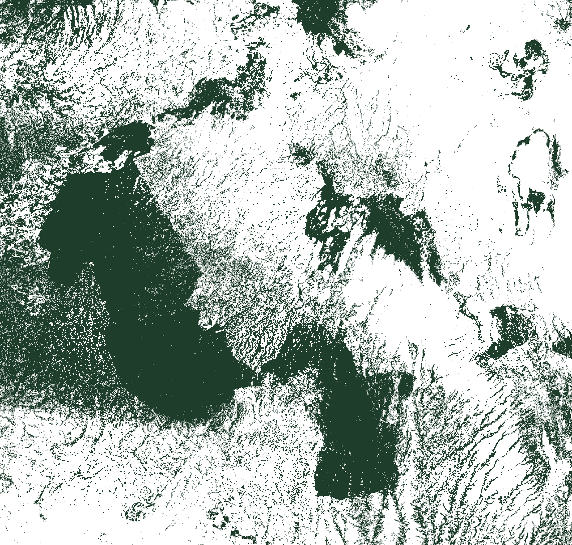 Remaining tree cover in 2024